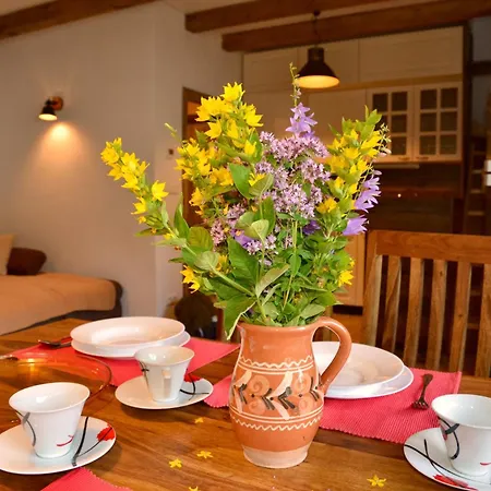 Na Travniku 302 Holiday home Horna Turecka